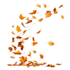 Colorful autumn leaves swirl gracefully in the air during a breezy fall day in a serene woodland setting