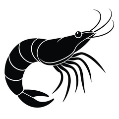 shrimp vector
