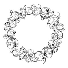 Currant gooseberry in water dew drops, ripe garden berry huckleberry juneberry casseille jostaberry hand drawn in vector ink. Isolated wreath frame crown. Organic food drink, fresh eco grocery store