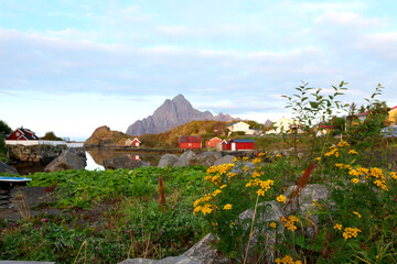 ノルウェイのロフォーテン朝横