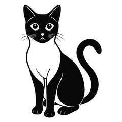 siamese cat vector
