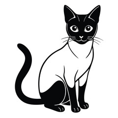 siamese cat vector