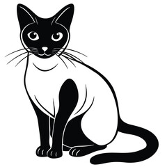 siamese cat vector