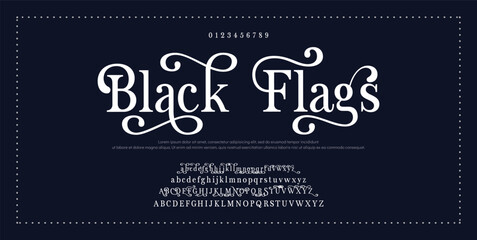 elegant font alphabet uppercase lowercase and number. Classic lettering minimal fashion designs. Typography modern serif fonts regular decorative vintage concept. Vector illustration © Custom Designs