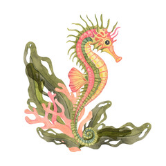 Green and orange seahorse floats among tangled seaweed and coral in this underwater watercolor clipart, ideal for wall posters, aquarium labels, beach-themed branding, or greeting card layouts