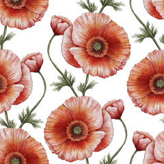 Seamless watercolor pattern with hand-painted red poppies, isolated on a white background. Perfect for fabric, wallpaper, packaging, stationery, and elegant floral-themed design projects.