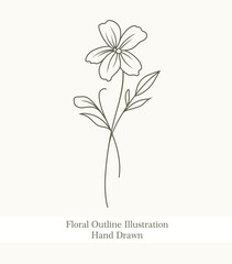 Floral Outline Illustration 