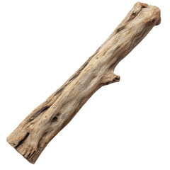 Unique piece of driftwood found on a beach during low tide enhances natural decor for home or garden