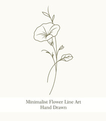 Minimalist Line Art Hand Drawn Flower 