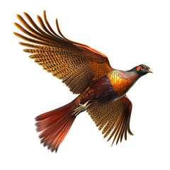 Fototapeta premium Colorful bird in flight showcasing vibrant plumage and intricate feather patterns against a plain backdrop