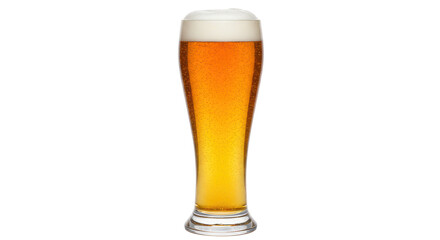 Isolated Glass of Beer