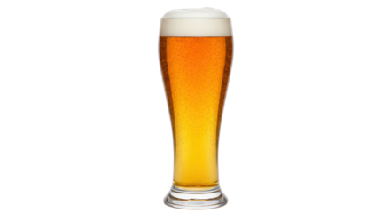 Isolated Glass of Beer