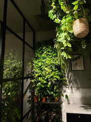 Indoor Vertical Garden with Lush Green Plants in Modern Interior