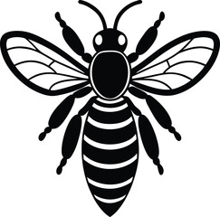 Detailed vector illustration of a honey bee