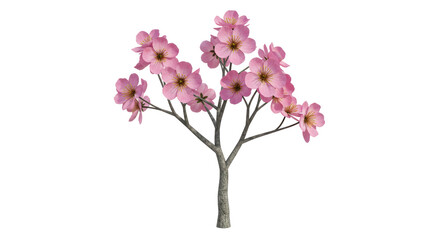 Isolated Tree on White Background