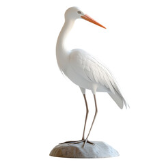 Elegant white heron stands on a rock in a serene environment showcasing nature's beauty and wildlife