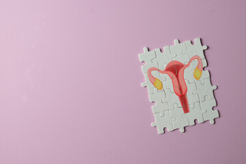 Concept for PCOS,gynecology, women's health,reproductive health, infertility treatment,medical examination,Healthcare medical,wellness.,Jigsaw puzzle with an the female reproductive system icon.