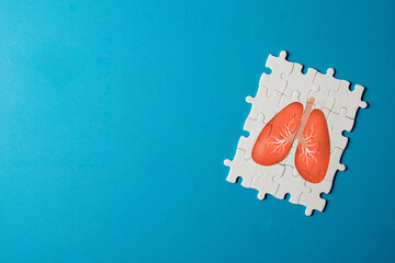 Concept for lung health awareness,Respiratory System,medical and healthcare,wellness theme,healthy breathing.,Jigsaw puzzle with a human lungs illustration on light blue background with copyspace.