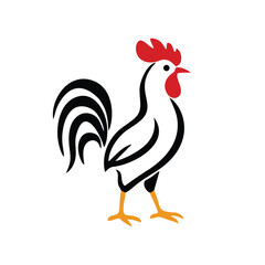 colorful rooster hen chicken fowl animal