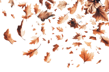 fallen autumn leaves