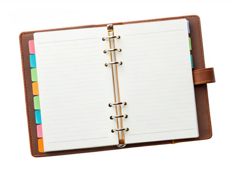 Notebook divider png page divider png notebook separator png paper divider png organizer divider png journal divider png transparent background image