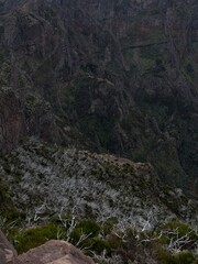 mountain landscape in the morning