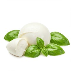 Fresh mozzarella cheese with basil leaves food photography studio
