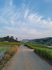This is a rural landscape in spring.