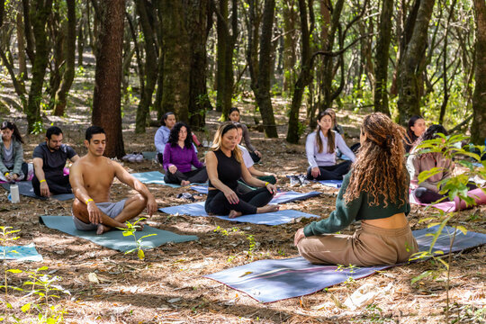 Yoga session in the serene forest environment