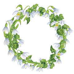 Springtime wreath of white snowdrops flowers, ivy and green leaves. Floral elegant wreath. Circle frame of flowers. Spring clipart. Hand-drawn watercolor illustration. For postcards, invitations