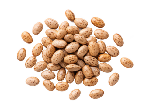 Pinto bean seeds png dry beans png pinto seeds png legume seeds png planting beans png sprouting seeds png transparent background image