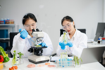 Two Asian scientists in a lab conducting food research using a microscope and lab equipment,...