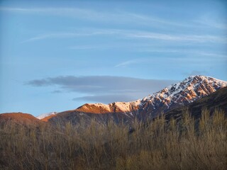 Mountain scenery in Lower Shotover featuring peaks with snow patches illuminated by golden hour light, contrasting with dry foreground vegetation under a blue sky.