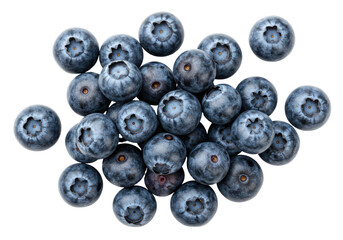 Isolated Group of Blueberries