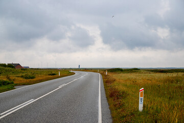 Road between dunes covered with grasses on the Danish coast
