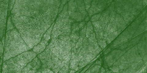 Abstract green marble stone texture nice green veins details. macro photography abstract blue natural texture neural network mold. Marble natural for design texture pattern and background.