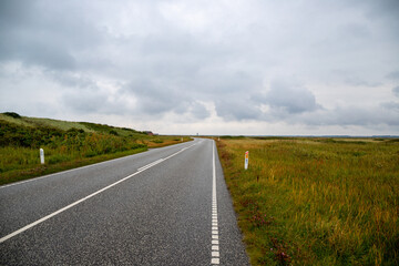 Road between dunes covered with grasses on the Danish coast