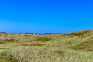 Rugged coastal landscape in Denmark with grasses and dunes