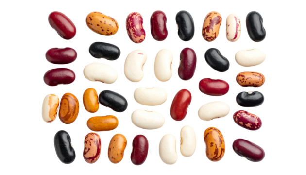 eleven assorted kidney beans top view isolated on solid white background Png