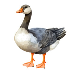 Goose, watercolor drawing vector, high quality, isolated on a white background.