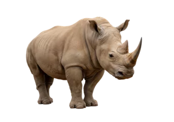 Gardinen Nashorn Isolated Powerful White Rhinoceros - Majestic Wildlife  © Adrian