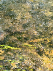 Abstract, flowing water creates shimmering patterns. Evokes tranquility, nature,  fluidity. Ideal for backgrounds, textures, or representing movement.