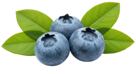 Isolated Three Blueberries