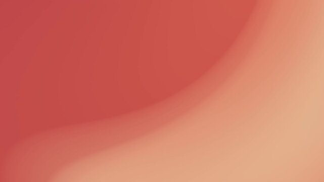 Seamless loop background 4k of solid pink to orange gradient. Ideal for fashion, beauty, or femininethemed videos, presentations, or designs.