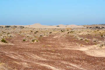 Arid landscape of red sand and earth in the interior of the coast near Puerto Madryn, in Argentine Patagonia.