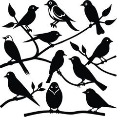 Collection of Birds Perched on Branches Owl Parrot