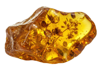 Isolated Piece of Amber with Fossilized Plant Inclusion