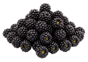 Isolated blackberries pile isolated