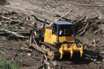 A large yellow tractor clears the area of ​​tree trunks