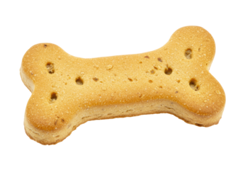 Isolated Dog Bone Biscuit Pet Treat Sweet Snack